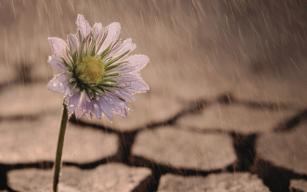 Change Requires New Conditions, Not New Effort